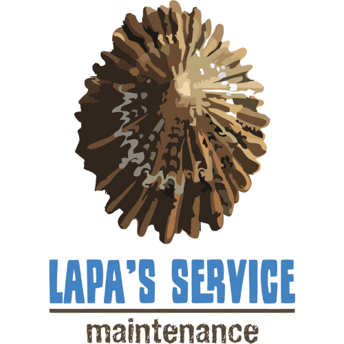 Logo de LAPA'S Service Maintenance